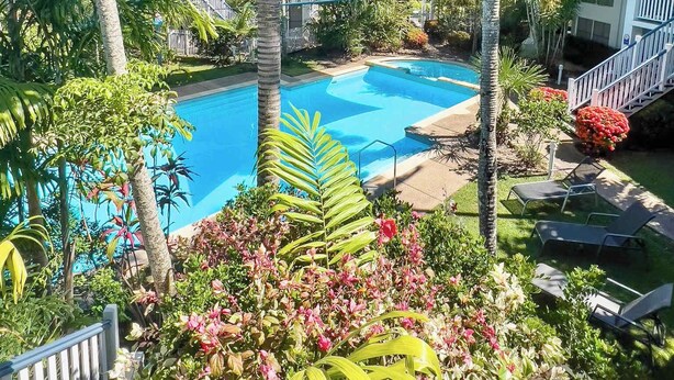 A pool surrounded by lush greenery and palm trees, with a clear blue sky above. - Whitsundays Mango Studio with Pool & Gardens (Airlie Beach)
