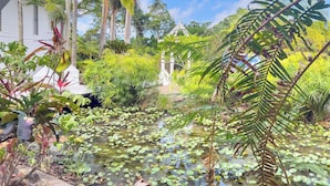 A tropical garden with a pond, palm trees, and various plants. - Whitsundays Mango Studio with Pool & Gardens (Airlie Beach)