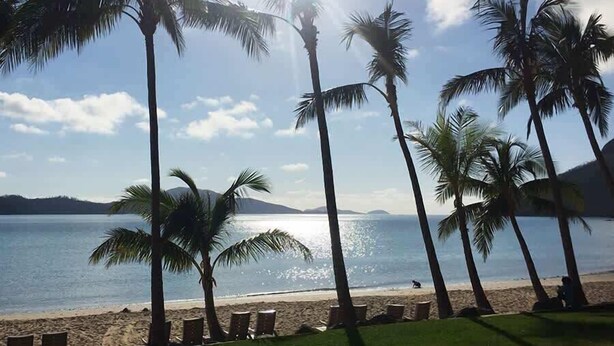 A beach with palm trees and a clear sky. - Poolside Mango House Apartment, Whitsundays (Airlie Beach)