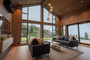TV, stereo - Luxury cabin, Wellness and view over the Tyrifjord (Vikersund)