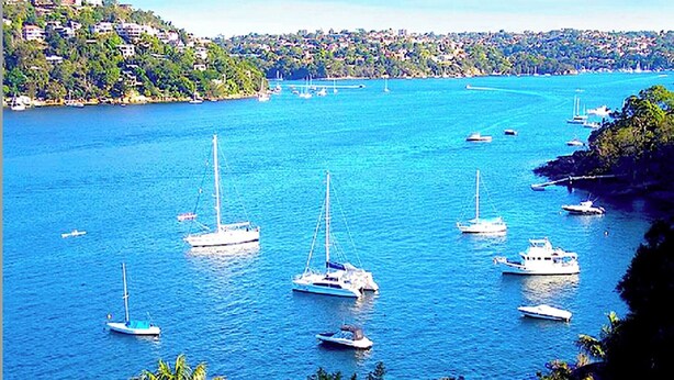 Marina - Grand Haven with Sea view! For Executives and Remote! Adults only! City Close! (Castlecrag)
