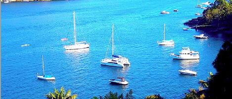 Marina/club náutico