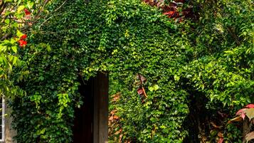 Classic Double Room, Garden View