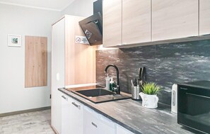 Fridge, microwave, cookware/dishes/utensils - 1 bedroom cozy apartment in Leba (Leba)