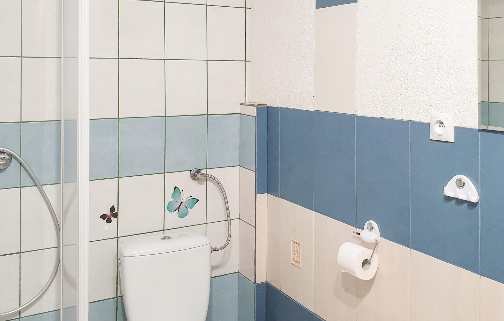 Ett badrum med toalett, dusch och en hållare för toalettpapper.