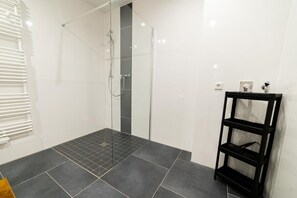 Shower, hair dryer, towels, toilet paper