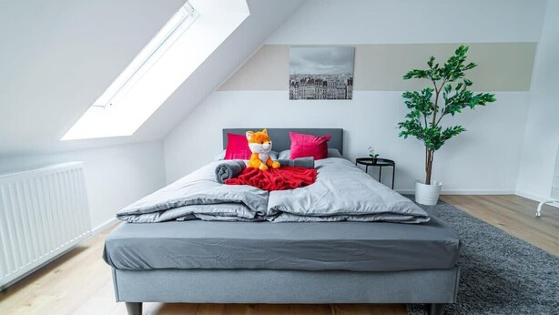 A modern bedroom with a skylight, grey bedding, a plush orange toy, and a green plant. - FullHouse | Magdeburg | L10-5 | RoofTop (Magdeburg)
