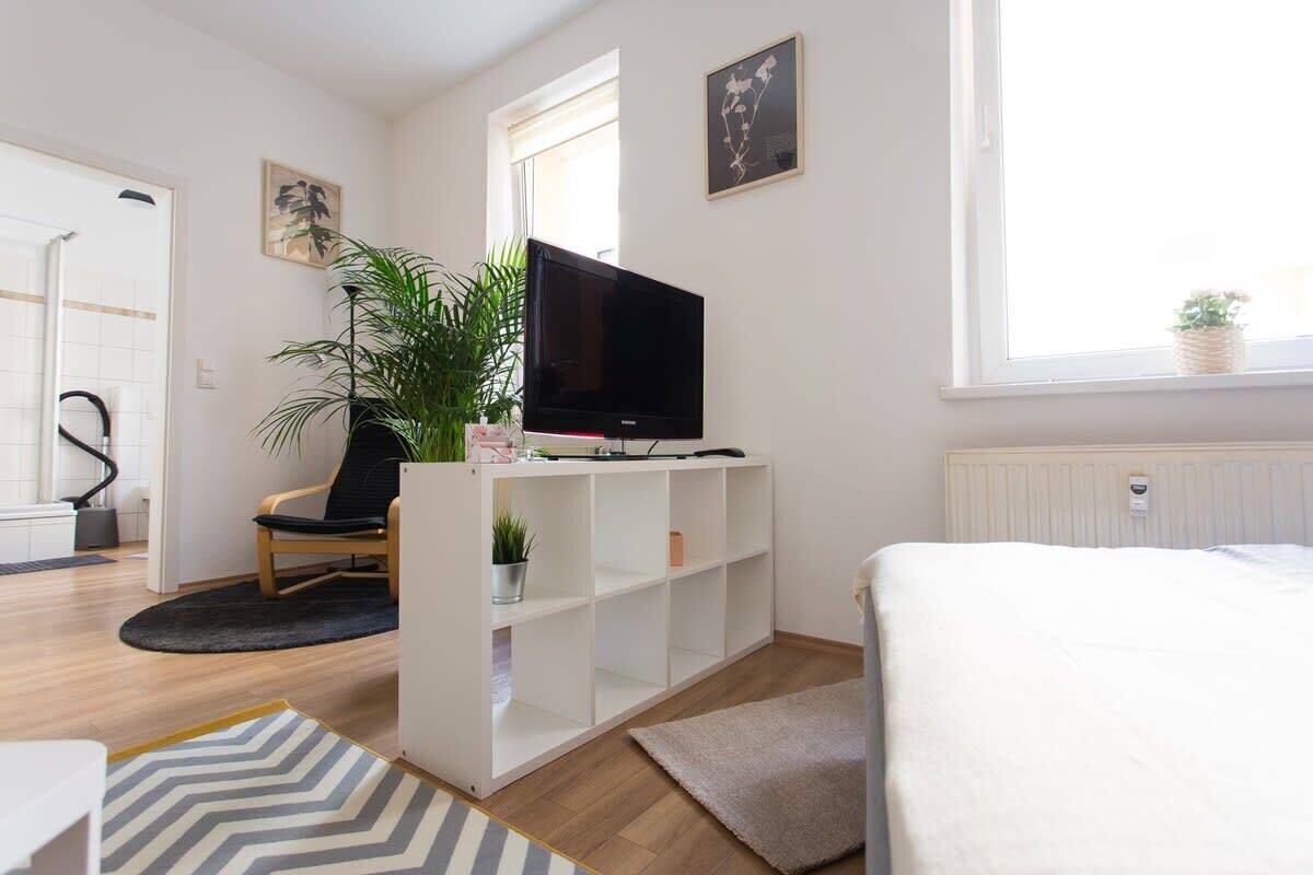 A modern bedroom with a bed, a TV on a white stand, a potted plant, and a window with a view.