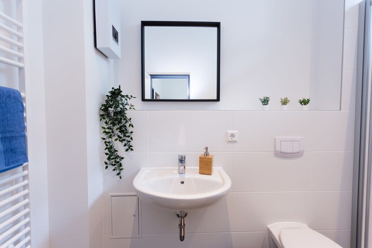 A bathroom with a white sink, a mirror, a small plant, and a blue towel on a rack.