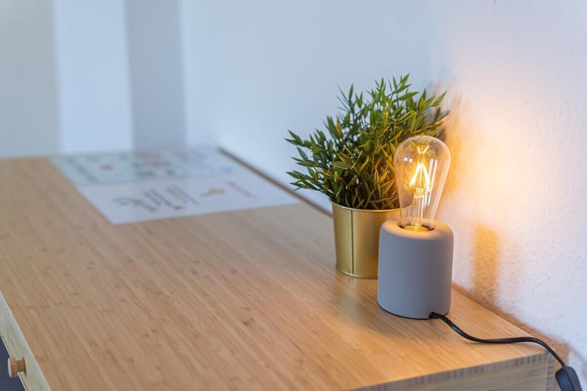 A wooden table with a potted plant and a lit bulb.