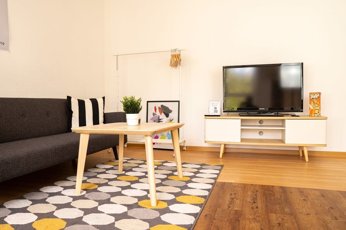 Fernseher, Arbeitsbereiche