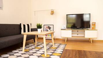 Fernseher, Arbeitsbereiche