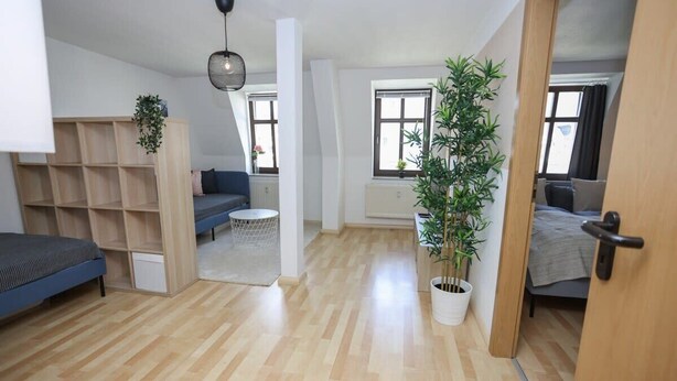 Eine moderne Wohnung mit Holzboden, einem blauen Sofa, einem Bücherregal, einem Topf mit Pflanze und Blick ins Freie durch ein Fenster.