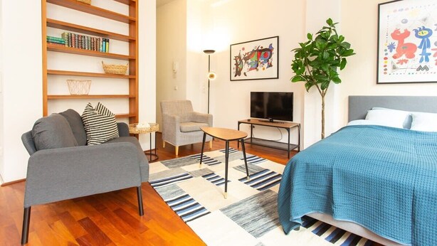 Ein modernes Wohnzimmer mit einem grauen Sofa, einem blauen Bett, einem Fernseher, einem Bücherregal und einer Pflanze.