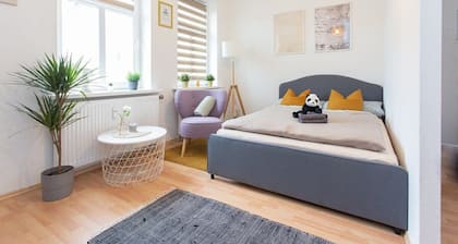 FullHouse | Chemnitz | S35 Little Sun| Studio