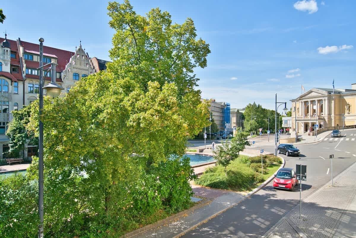 Straatbeeld met een grote boom, gebouwen en een weg.