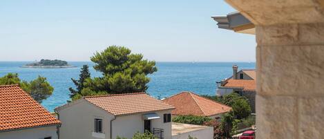 公寓 (A1) | 露台/庭院