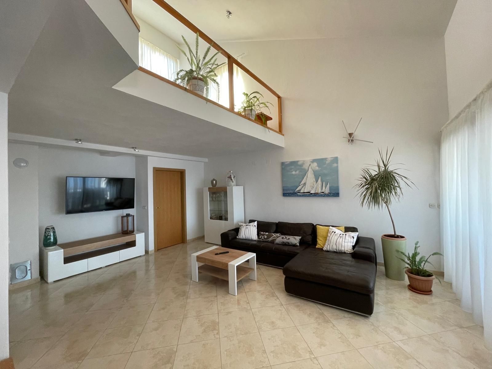 A modern living room with a flat-screen TV, a sofa, a coffee table, and a potted plant.