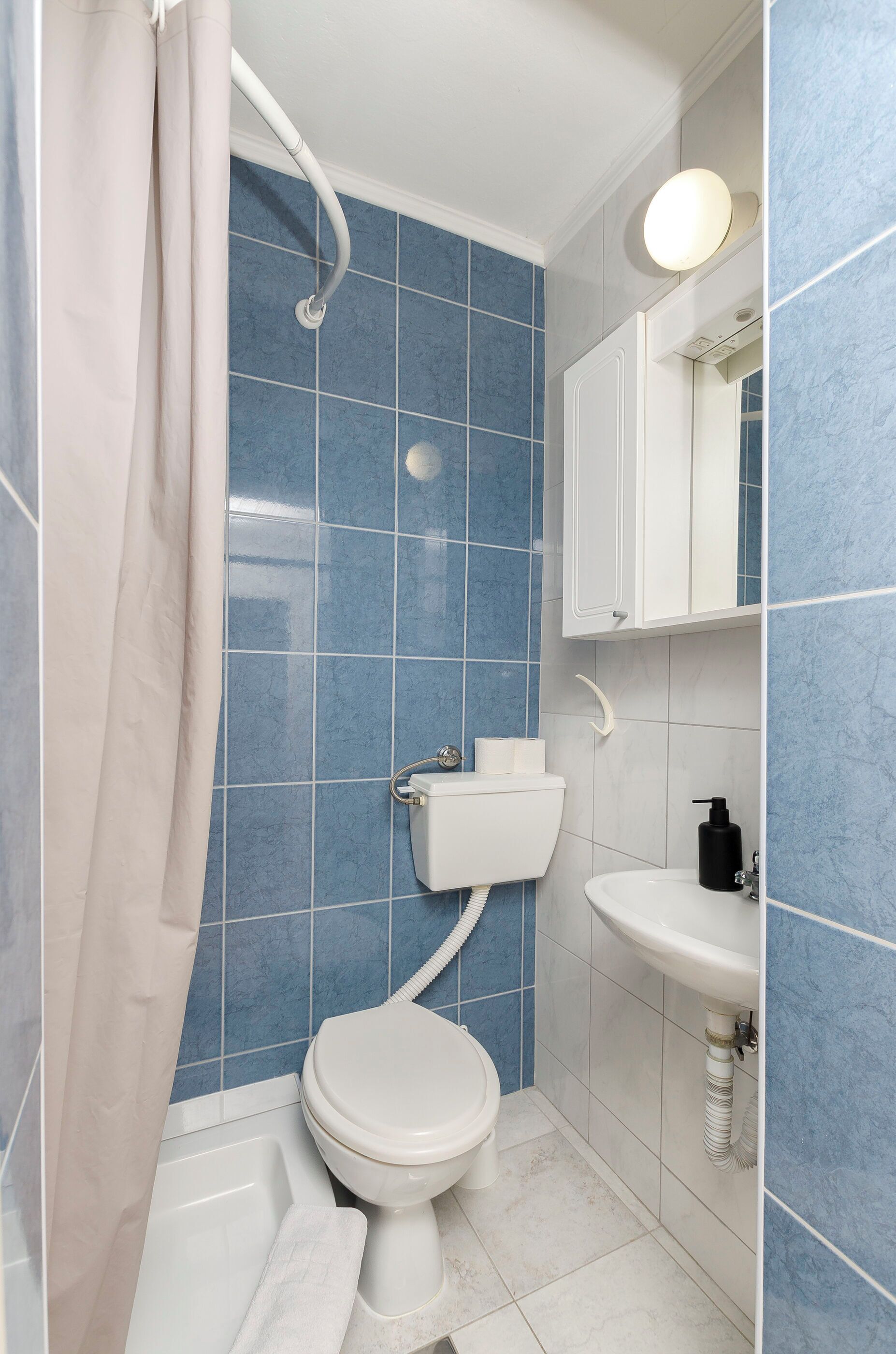 Ein Badezimmer mit Toilette, Waschbecken und Duschvorhang.