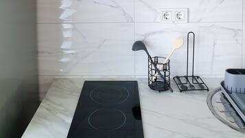 Apartment (A2) | Private kitchen | Mini-fridge
