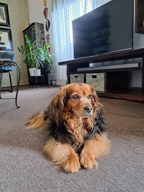 Leilighet (A1) | Oppholdsrom