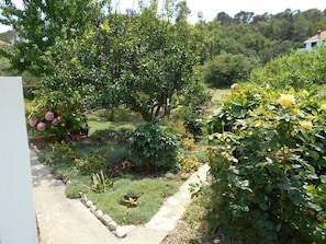 A garden with a stone pathway, various plants, and a large tree. - Apartment Ivanka (Rab)