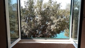 Estudi (A2) | Vista aèria