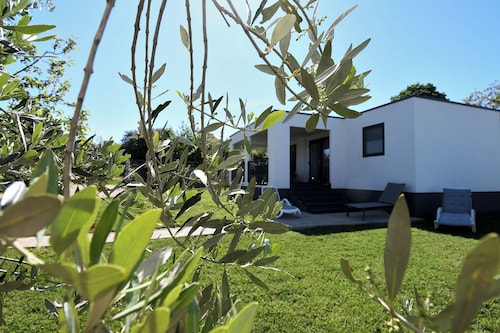 House Aria