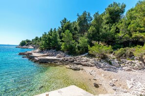 A rocky beach with clear water and dense green trees. - Apartments Mareni (Rogoznica)