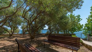 A park bench under a tree with a view of the water. - Apartment Ana (Jasenice)