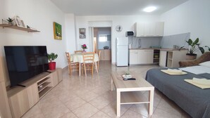 Un espace de vie compact comprenant un téléviseur, une table à manger, des chaises, un lit, un coin cuisine et une petite table à manger agrémentée d’une plante.