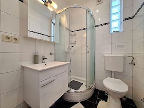 Ein modernes Badezimmer mit einer Duschkabine, einem weißen Waschbecken mit Spiegel darüber und einer Toilette.