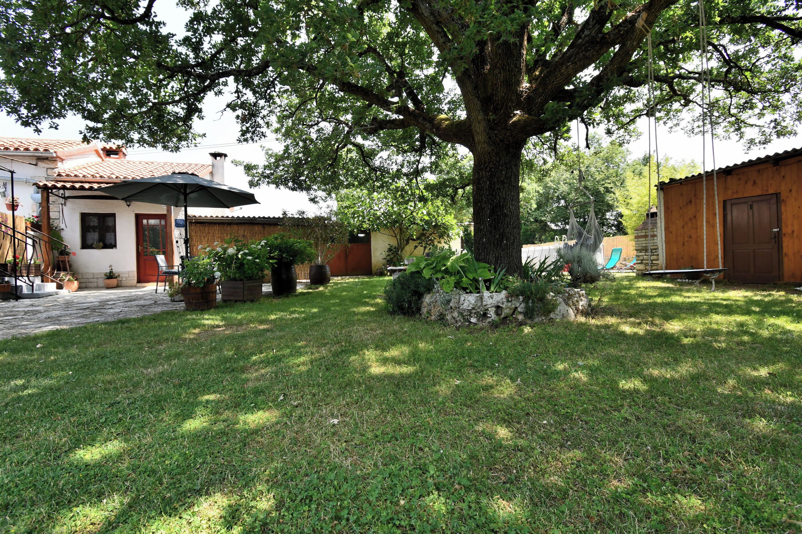 A spacious backyard with a large tree, a patio area, and a wooden building.