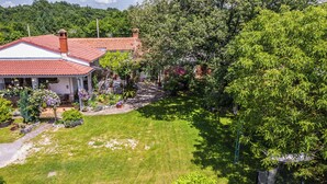 Ein Haus mit rotem Ziegeldach, einem Garten mit verschiedenen Pflanzen und Blumen sowie einer gepflasterten Auffahrt.