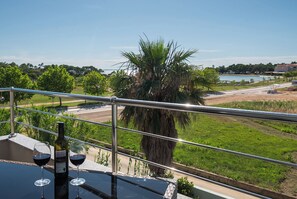 Un balcó amb vista a un llac, palmeres i un camí allunyat.