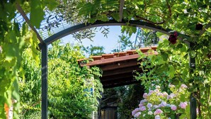 Uma escadaria de pedra leva a uma área coberta com pérgola, cercada por vegetação exuberante e plantas floridas.