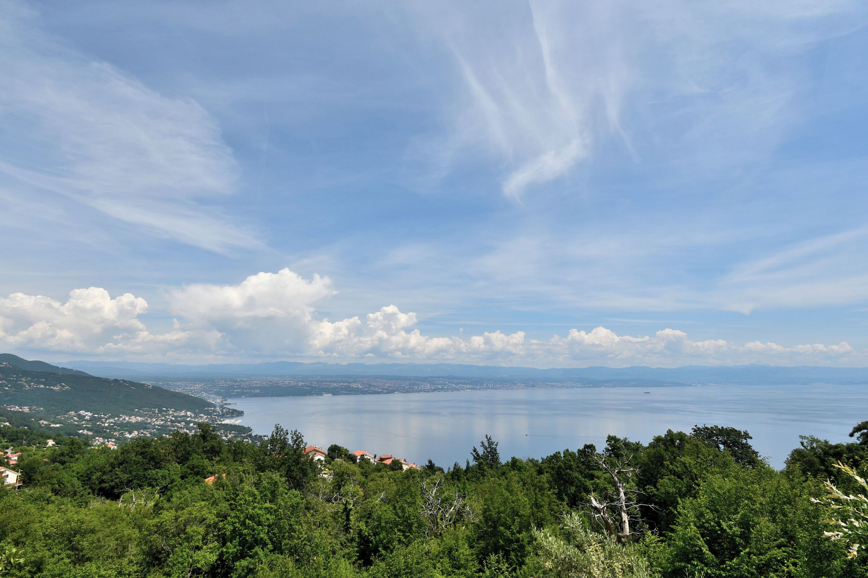 A coastal landscape with a view of a calm sea, a distant city, and a forested area.
