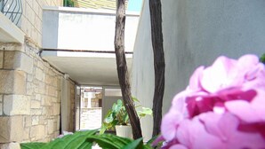 A narrow outdoor corridor with stone walls, a potted plant, and a pink flower in the foreground. - Apartment Fran (Postira)