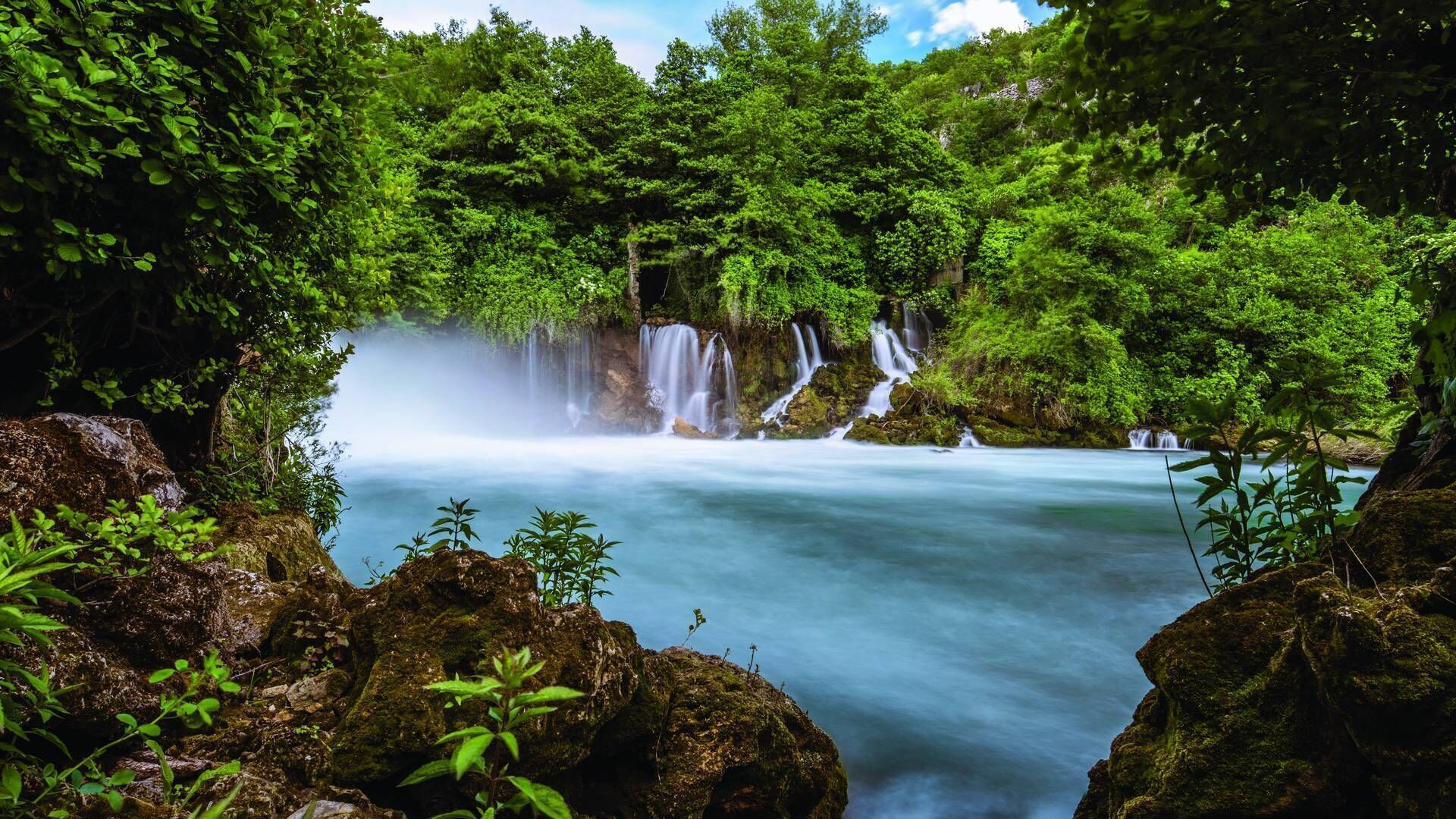 Ein Wasserfall, umgeben von üppiger Vegetation.