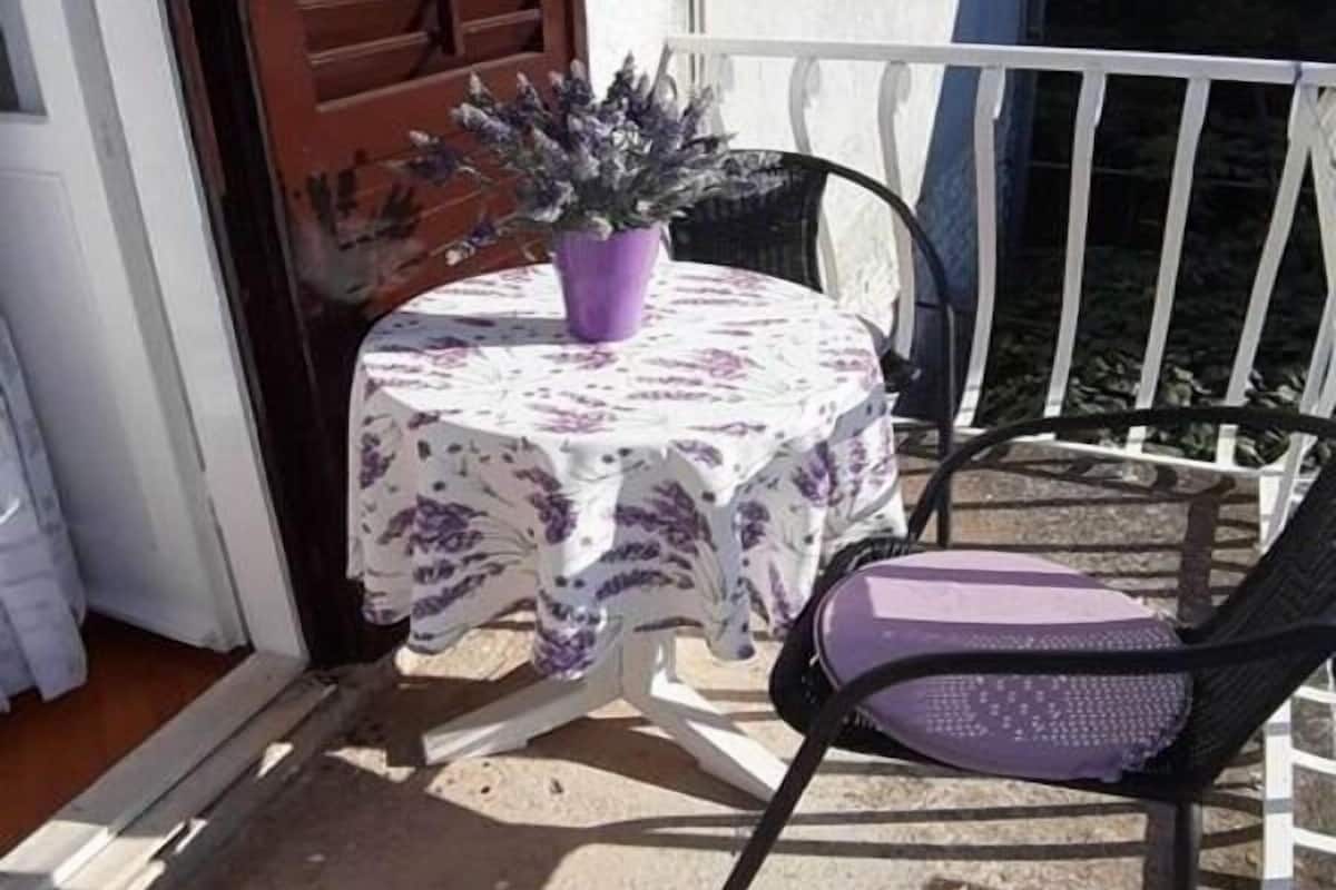 A balcony with a table and chair, a potted plant, and a door with brown shutters.