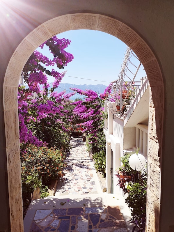 A narrow pathway flanked by vibrant bougainvillea flowers, leading to a building with a tiled entrance and a balcony with potted plants. - Apartments Nada (Sucuraj)