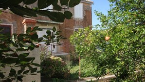 Ein rustikales Gebäude mit einem Balkon, umgeben von üppiger Vegetation und Obstbäumen.