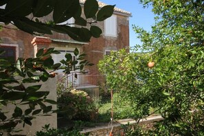 Terrace/patio - Apartments Zoki (Vis)