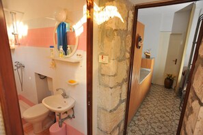 Een badkamer met toilet, wastafel en douche. Boven de wastafel hangt een spiegel en er is een handdoekhouder aanwezig. De muren zijn betegeld en er is een houten deur naar een andere kamer.