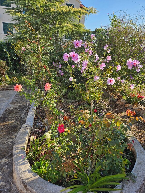 Área da propriedade