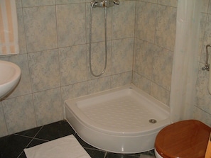 Een badkamer met douche, wastafel en toilet.