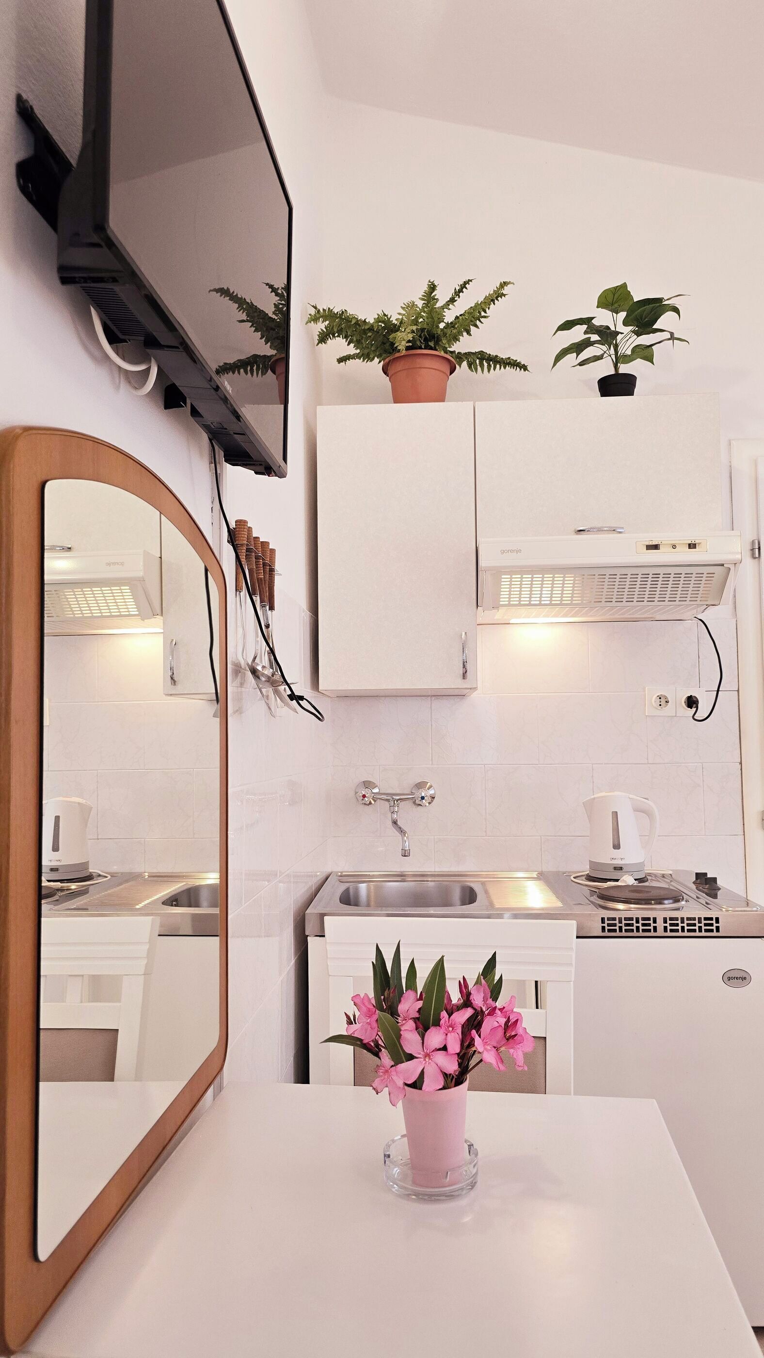 Studio (A2) | Private kitchen | Fridge, microwave, stovetop, electric kettle