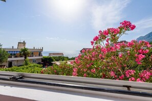 Apartment (A1) | Exterior