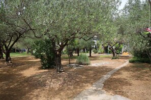 Taman
