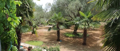 Huoneisto (A1) | Terassi/patio